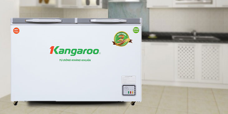 Giá thay lốc tủ đông Sanaky - Thông tin chi tiết và các lời khuyên hữu ích