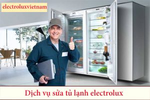 Cac Sua Tu Lanh Electrolux Khong Lanh 6543a9c23ad5e.jpg