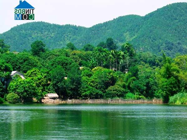 Xe Ghép Hạ Hòa Phú Thọ Hành Trình Tiết Kiệm Và An Toàn