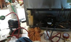 Loc Tu Mat Linh Kien Quan Trong Giup Duy Tri Huong Vi Thuc Pham Luon Tuoi Ngon 6968eb266a578.jpg